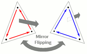 Surface Flip After Mirror