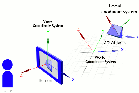 Local Coordinate System